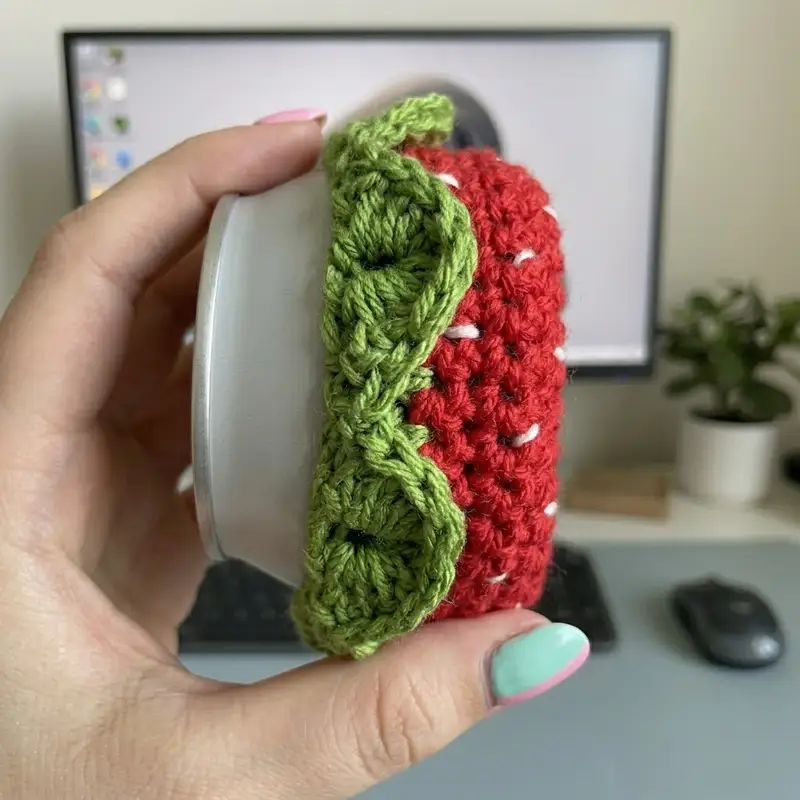 Complimentary Beginner Friendly crochet pattern: Fruit Snack Coozie Pack Pattern - Simple to follow guide