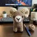 Bobby the Bighorn Sheep Amigurumi Pattern step 3 - details and accessories