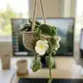 Plant Car Amigurumi Pattern step 2 - assembly progress