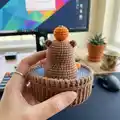 Capybara in a tub Amigurumi Pattern step 4 - final assembly and finishing