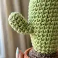 Desert Crochet Cactus Amigurumi Pattern step 2 - assembly progress