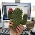 Crochet Cactus Pillow Pattern step 1 - construction progress